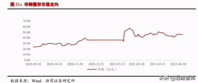 医美行业深度报告：星火燎原，医美的黄金时代