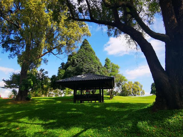 新加坡麦理芝热带原始雨林徒步，途径岛屿高尔夫球场