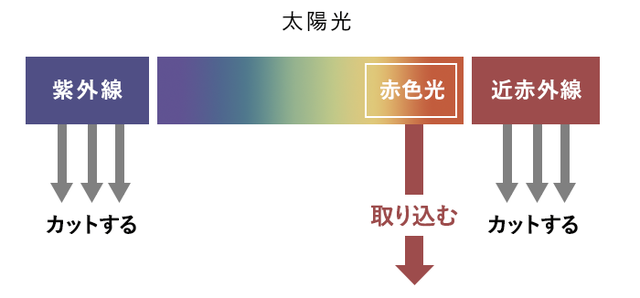 POLA防晒日霜出现假货！官方亲自出马打假，快看你中招了吗？