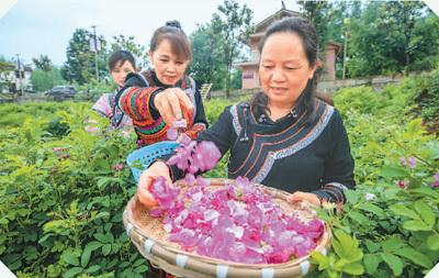 解读中国推进乡村振兴的“密码”