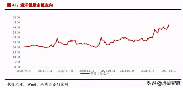 医美行业深度报告：星火燎原，医美的黄金时代