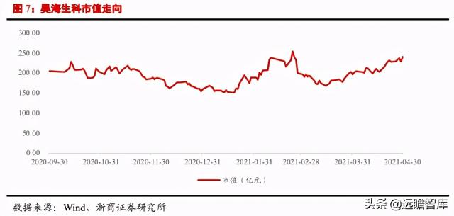 医美行业深度报告：星火燎原，医美的黄金时代