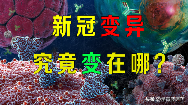 钟院士说，灭活疫苗对B1351新冠毒株保护力下降，这毒株特殊在哪