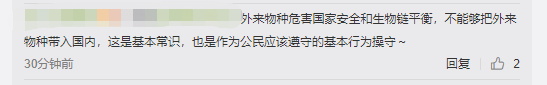 广州海关查获外来物种“巨人恐蚁”：喷酸可致人化学灼伤。 网友质问“买的人想干嘛？”