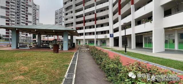 新加坡29岁男子棍棒打死妹妹，只因她不听话