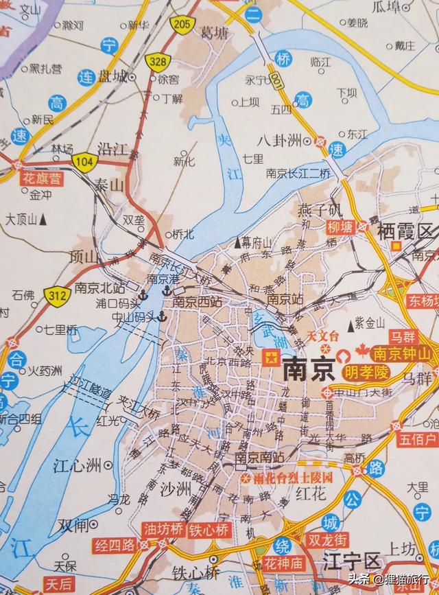 南京长江里的潜洲是无人岛，这里成了鸟儿的家园