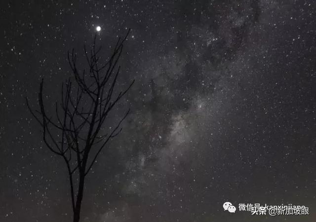 “超级血月”现身新加坡夜空，高清大图请查收