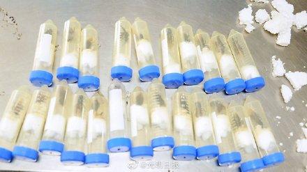 巨人恐蚁为何要被拦住？