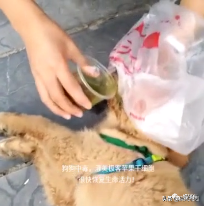 从裁判文书还原一个号称“产品救命，制度救人”的美极客
