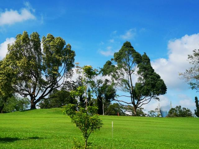 新加坡麦理芝热带原始雨林徒步，途径岛屿高尔夫球场