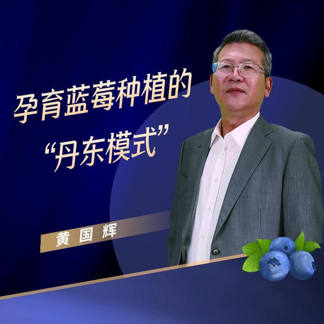 黄国辉：孕育蓝莓种植的“丹东模式”