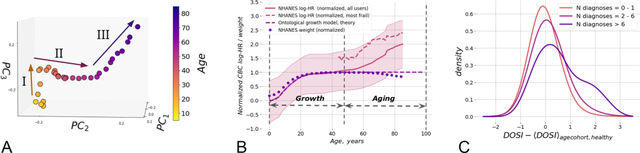 「Nature子刊」衰老是怎样的过程？科学证实：120-150岁是人类寿命的极限