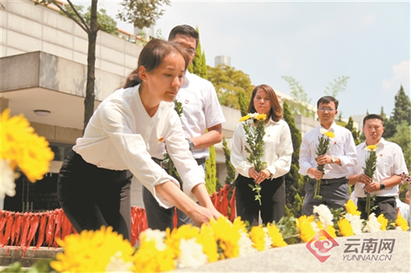 「党旗在国企高高飘扬」云南贵金属集团领军稀贵金属新材料产业发展