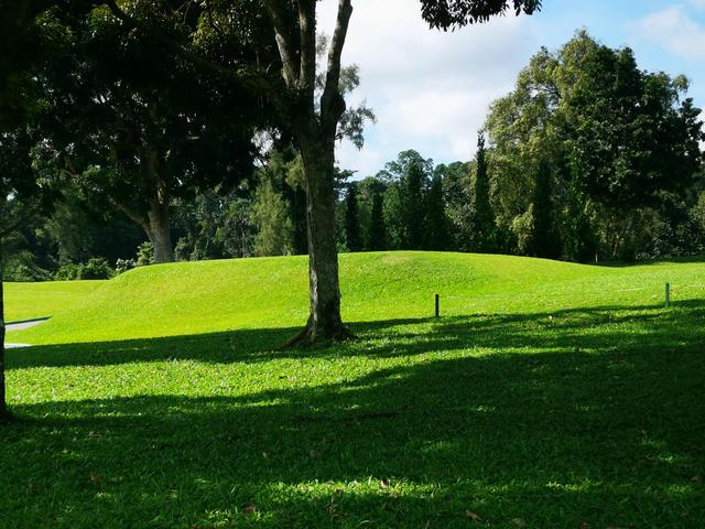 新加坡麦理芝热带原始雨林徒步，途径岛屿高尔夫球场