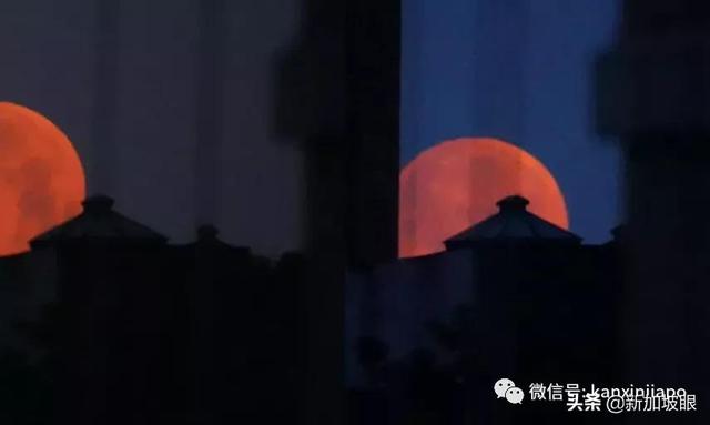 “超级血月”现身新加坡夜空，高清大图请查收