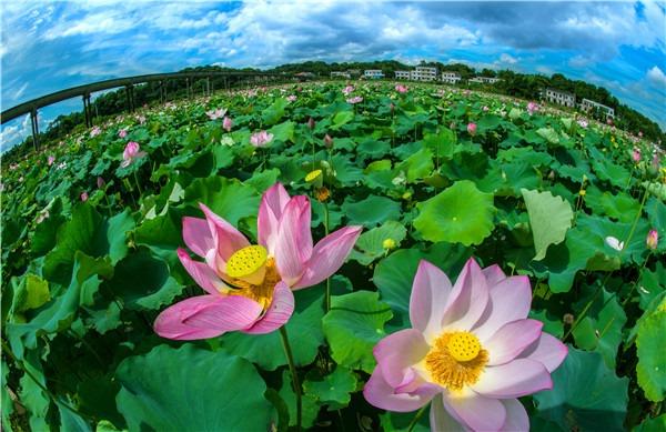 湖南“宝藏之城”：人均 GDP位列全省第二