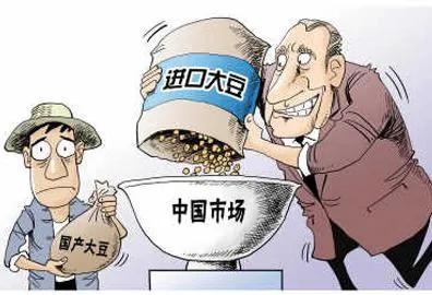 中国人的饭碗必须掌握在自己手上？当年“粮食大战”惨烈的教训