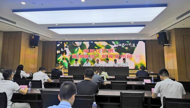 四川攀枝花“芒果打假”：正宗攀枝花芒果6月上市 提前卖的都是冒牌货