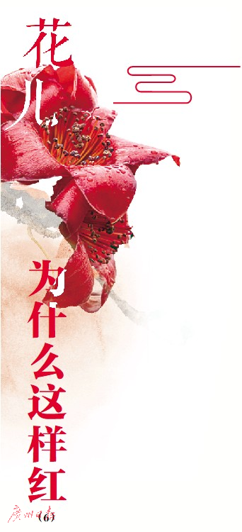 万千芳华，绚烂华南植物园