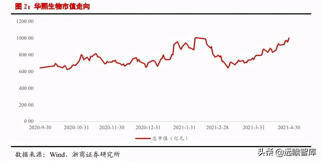 医美行业深度报告：星火燎原，医美的黄金时代