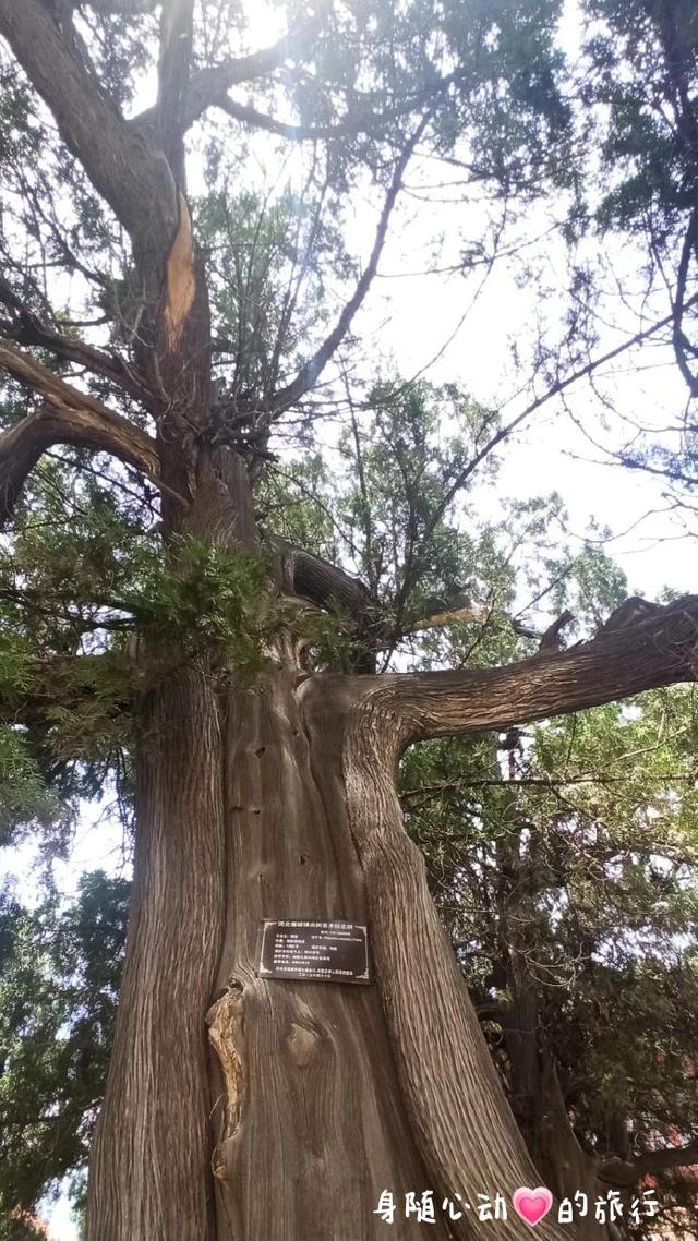 千年古刹～柏林禅寺