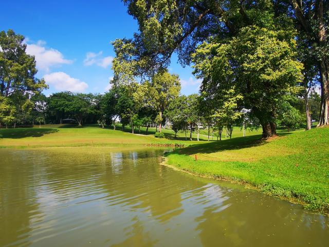 新加坡麦理芝热带原始雨林徒步，途径岛屿高尔夫球场