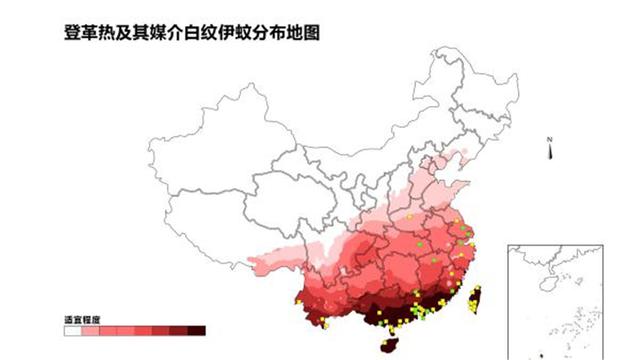 “全民公敌”花蚊子，最开始到底是从哪来的？怎样消灭它？