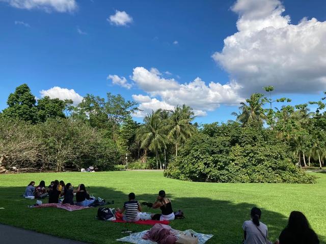新加坡植物园，给你一处绿色空间