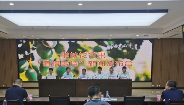 想吃今年的攀枝花芒果还要等多久？这份“攻略”先睹为快