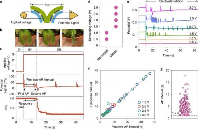 科学家已成功用手机远程控制捕蝇草