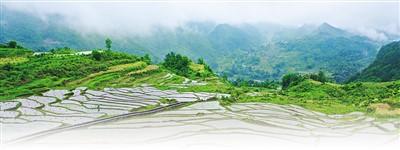 解读中国推进乡村振兴的“密码”