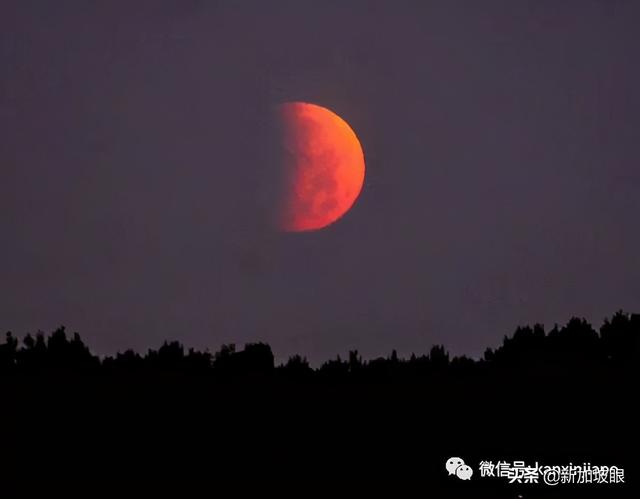 “超级血月”现身新加坡夜空，高清大图请查收