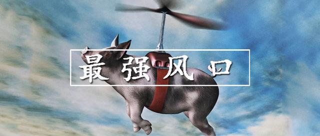 碳中和，这两年最炙手可热的风口