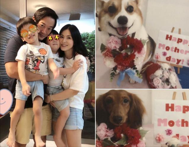 杨采妮晒合照庆47岁生日，一家四口罕见同框，双胞胎儿子颜值高