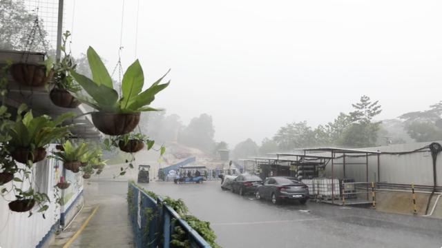 奋斗青春 逐梦海外丨骑车巡林 中国工程师热带雨林建公园