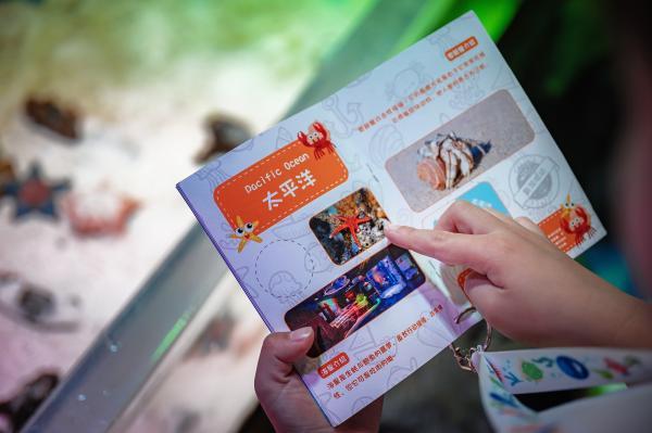 去打卡！塞舌尔、斐济、新加坡、英国和冰岛，这些美丽岛国的海洋风景都在这了