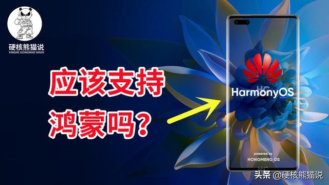 鸿蒙正式发布：打破20年系统垄断，华为强力回应美国！该支持吗？