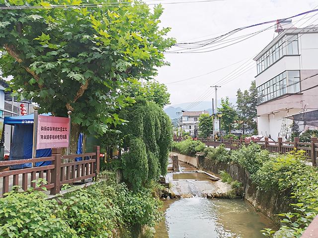 党建引领闯新路 接续奋斗满园春