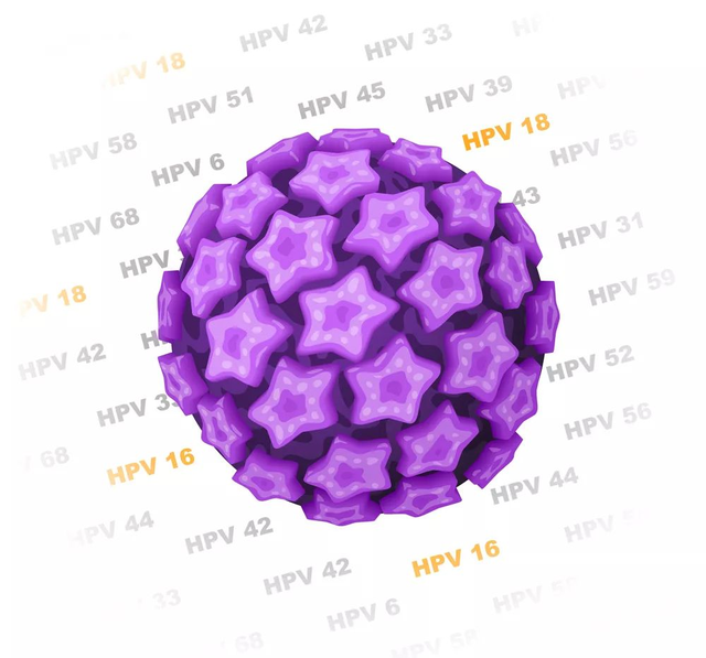 二价、四价、九价 HPV 疫苗该咋选？看完你就懂了