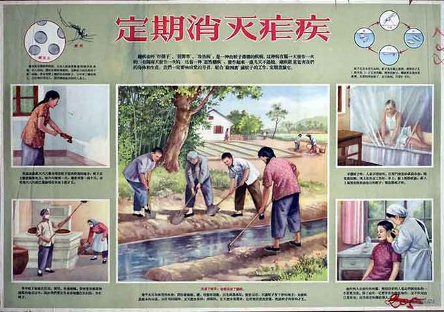 了不起的壮举！世卫组织宣布中国已消除疟疾