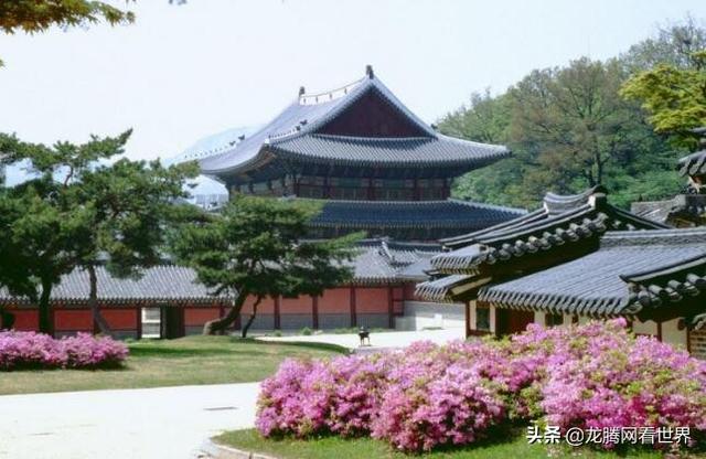「龙腾网」2021年，美国人留在韩国生活的原因是什么？