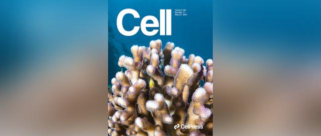 今日Cell：14周胎儿带菌，或参与免疫发育