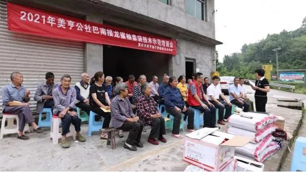 科技助力产业振兴、蜜柚助力社员增收