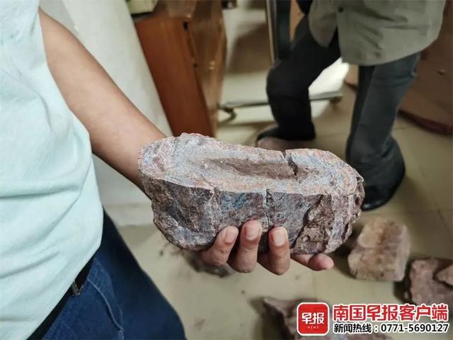 早新闻丨重大发现！广西首次发现侏罗纪晚期恐龙化石