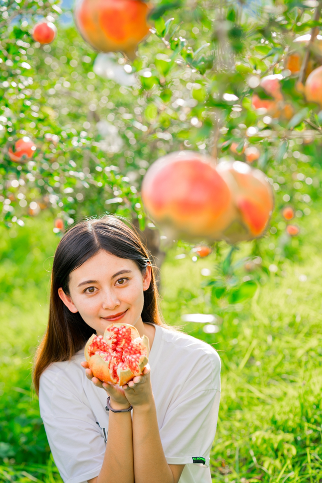 投身农业的新青年：与传统模式较量