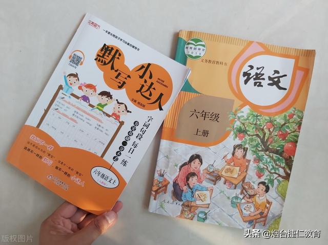 语文/常记常看！易混淆成语辨析汇总