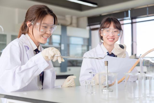 世界Top50名校录取率近九成、人均6份offer！德胜国际如何做到？