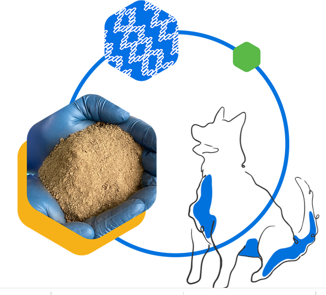 小昆虫，大机遇，值得关注的昆虫蛋白产业