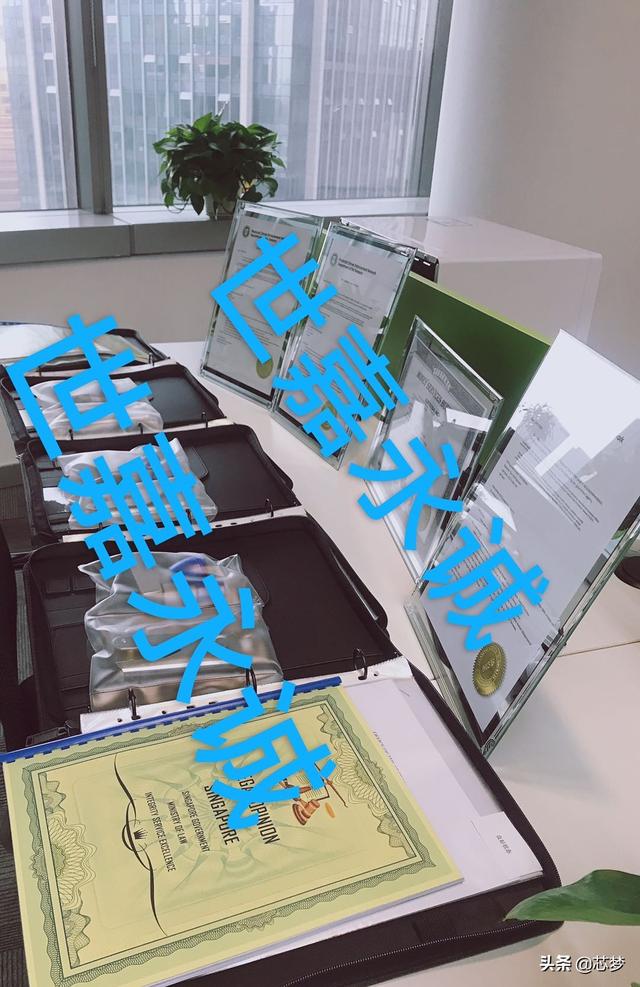 新加坡法律意见书的作用及办理流程