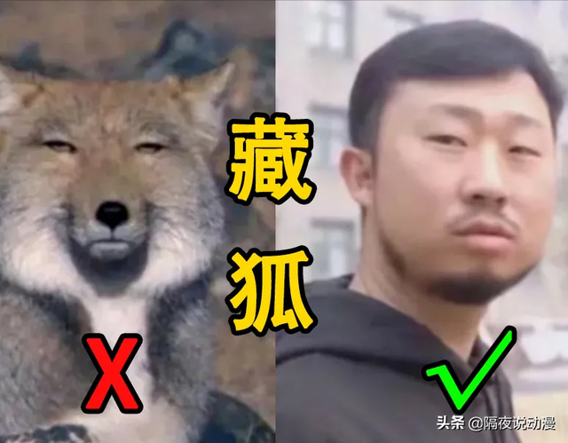 刷屏社交圈的“表情包男人”，居然是一个粉丝380万的B站UP主？